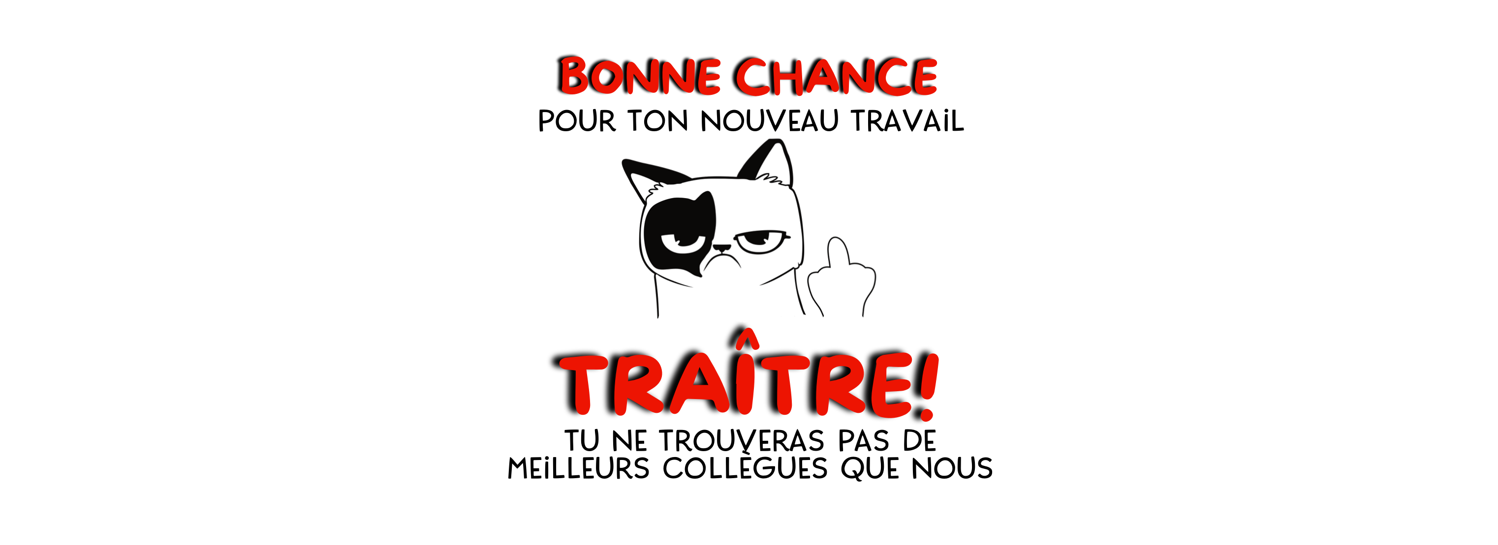 Mug départ collègue – “Bonne chance pour ton nouveau travail, traître !”